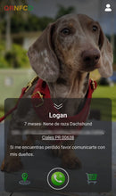 Load image into Gallery viewer, ID DIGITAL TAG