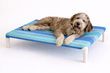 Load image into Gallery viewer, LARGE ELEVATED BED