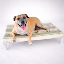 Load image into Gallery viewer, Cama elevada para perros medianos resistentes TRB Paws Puerto Rico