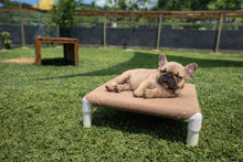 Load image into Gallery viewer, SMALL ELEVATED BED