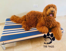 Load image into Gallery viewer, LARGE ELEVATED BED