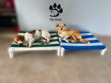 Load image into Gallery viewer, Cama elevada para perros medianos resistentes TRB Paws Puerto Rico