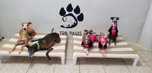 Load image into Gallery viewer, Cama elevada para perros medianos resistentes TRB Paws Puerto Rico