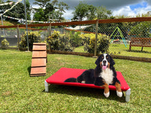 Load image into Gallery viewer, LARGE ELEVATED BED