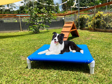 Load image into Gallery viewer, MEDIUM ELEVATED BED