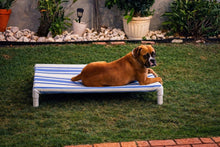 Load image into Gallery viewer, LARGE ELEVATED BED
