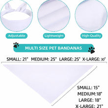 Load image into Gallery viewer, Bandanas San Valentine
