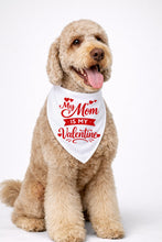 Load image into Gallery viewer, Bandanas San Valentine
