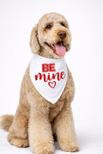 Load image into Gallery viewer, Bandanas San Valentine
