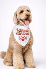 Load image into Gallery viewer, Bandanas San Valentine
