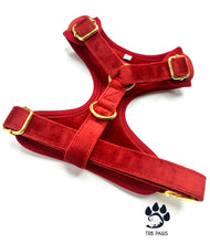 Load image into Gallery viewer, RED VELVET HARNESS
