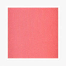 Load image into Gallery viewer, Cama Elevada para Perros Grandes |TRB Paws
