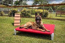 Load image into Gallery viewer, LARGE ELEVATED BED
