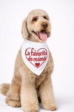 Load image into Gallery viewer, Bandanas San Valentine
