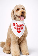 Load image into Gallery viewer, Bandanas San Valentine
