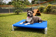 Load image into Gallery viewer, MEDIUM ELEVATED BED
