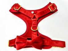 Load image into Gallery viewer, RED VELVET HARNESS
